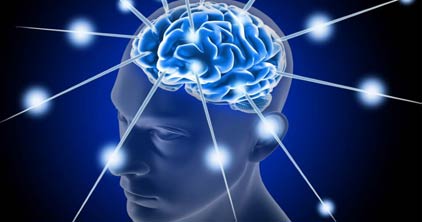 brain